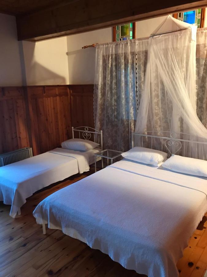 9Mouses Chasiotis Guest House Ampelakia 외부 사진