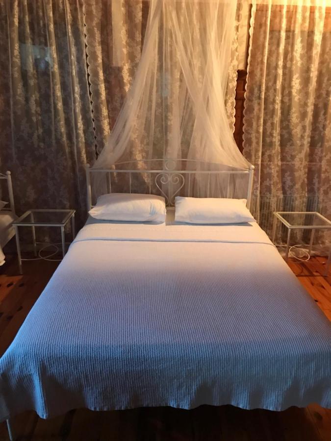 9Mouses Chasiotis Guest House Ampelakia 외부 사진