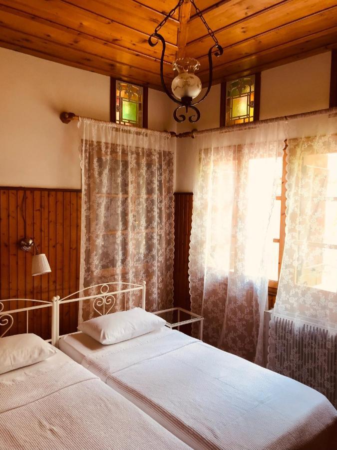 9Mouses Chasiotis Guest House Ampelakia 외부 사진