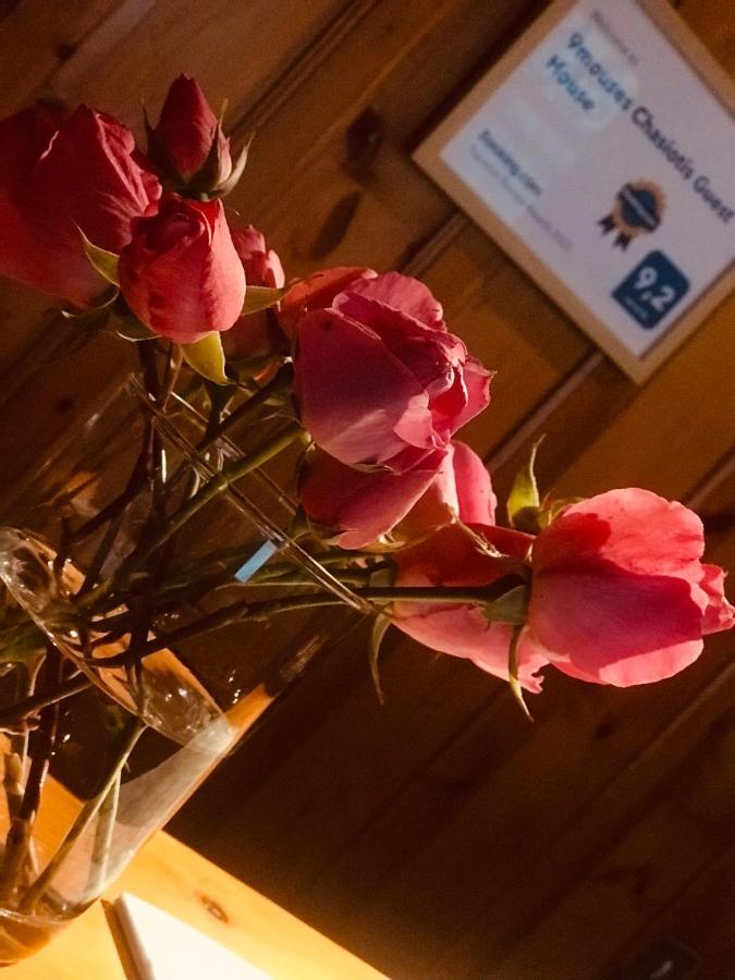9Mouses Chasiotis Guest House Ampelakia 외부 사진