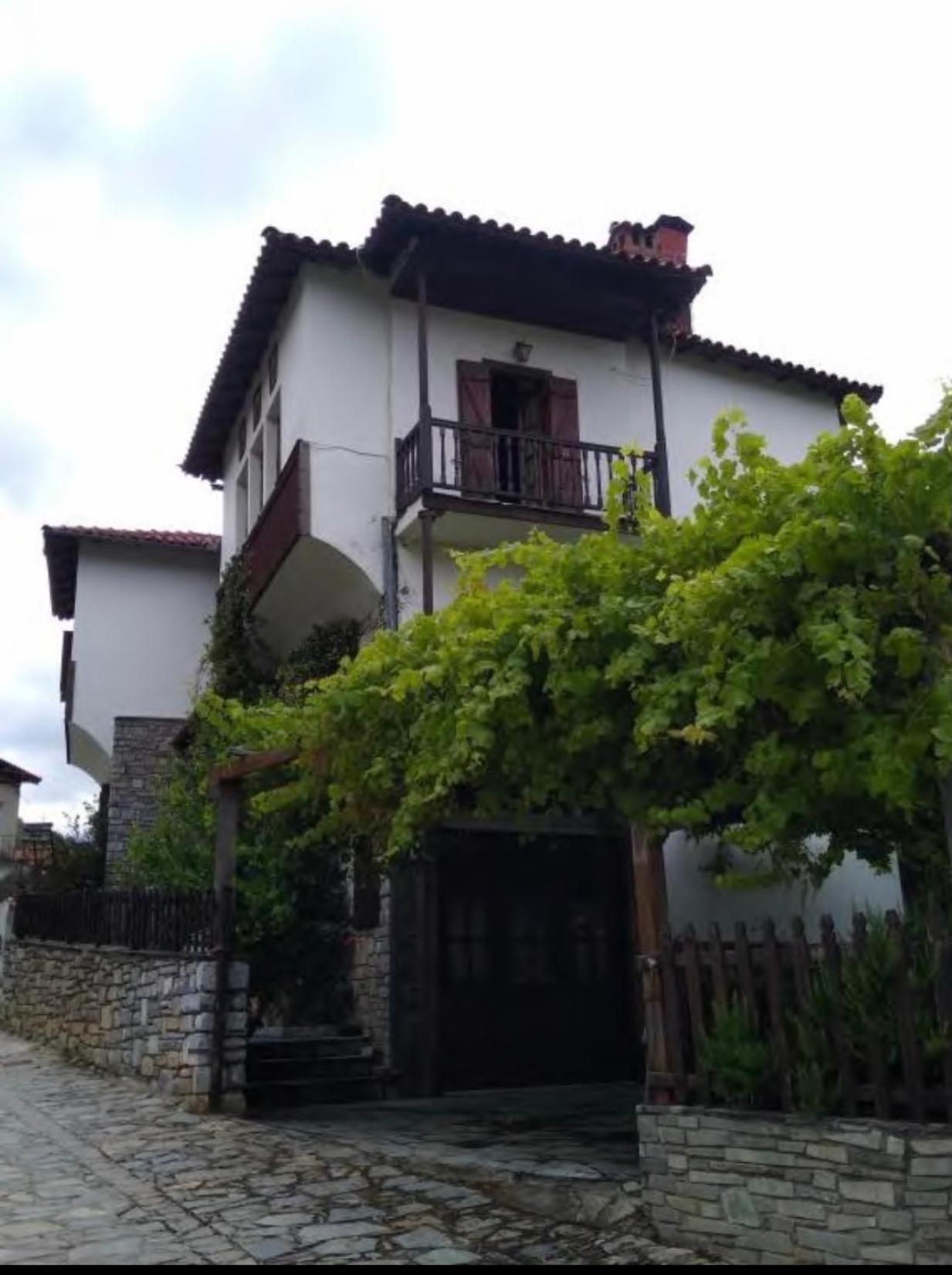 9Mouses Chasiotis Guest House Ampelakia 외부 사진