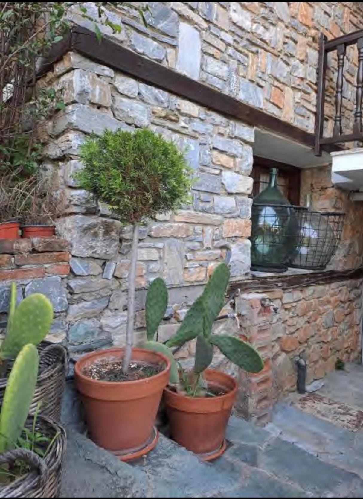 9Mouses Chasiotis Guest House Ampelakia 외부 사진